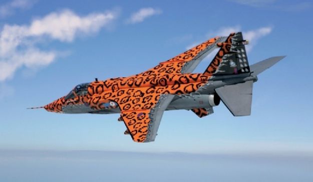 Immagine di JAGUAR GR.3 BIG CAT