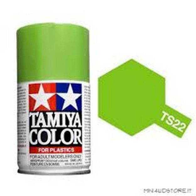 Immagine di COLORE SPRAY VERDE CHIARO