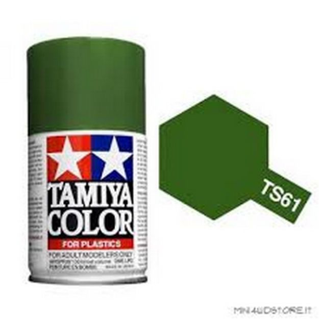 Immagine di COLORE SPRAY VERDE NATO