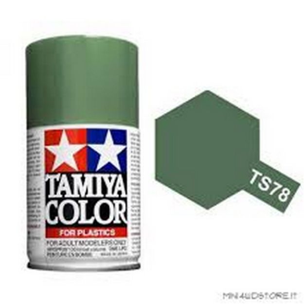 Immagine di COLORE SPRAY GRIGIO VERDE