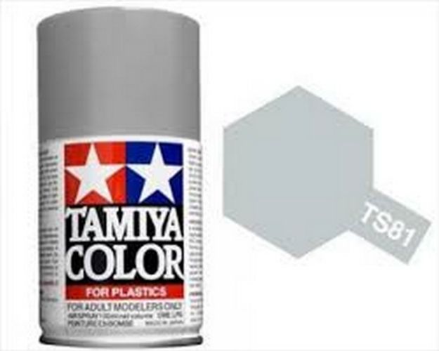 Immagine di COLORE SPRAY GRIGIO ROYAL CHIARO