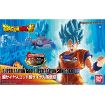 Immagine di DRAGONBALL SUPER SAIYAN GOD SUPER SON GOKU