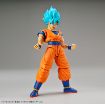 Immagine di DRAGONBALL SUPER SAIYAN GOD SUPER SON GOKU