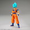 Immagine di DRAGONBALL SUPER SAIYAN GOD SUPER SON GOKU