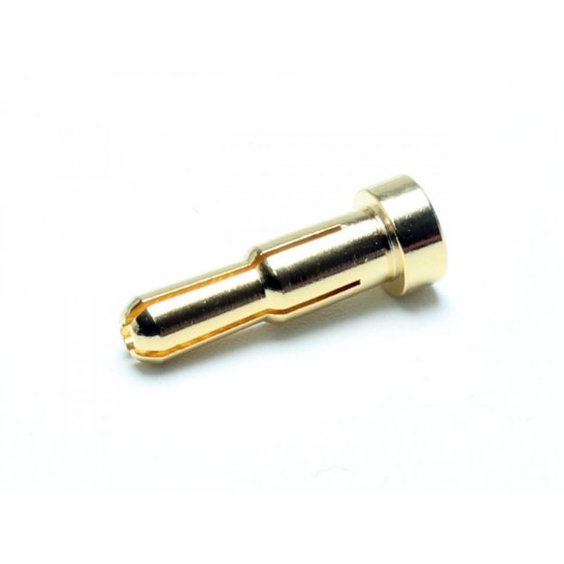 Immagine di SPINO ORO 4-5 mm