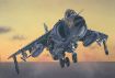 Immagine di FRS.1 SEA HARRIER